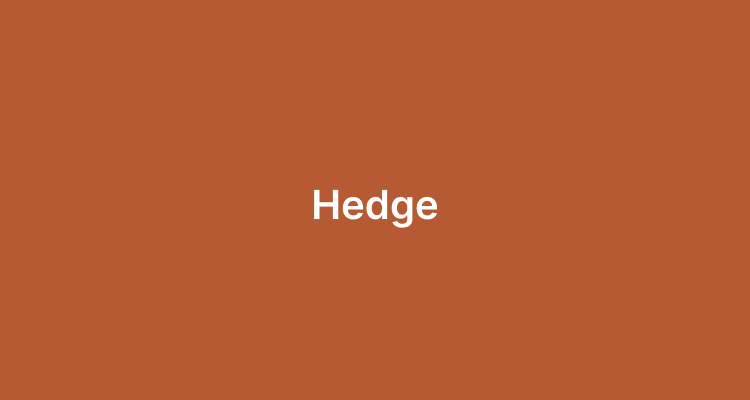 Hedge in Forex
