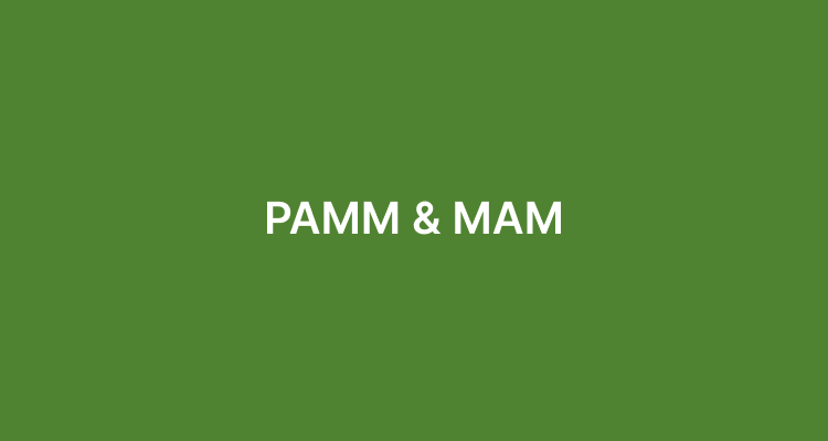 PAMM & MAM in forex